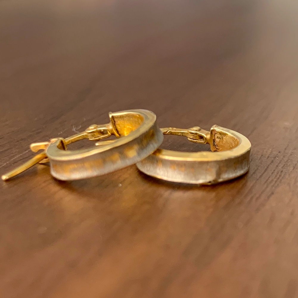 18 Karat Yellow/Gold with Crusted Platinum Earring